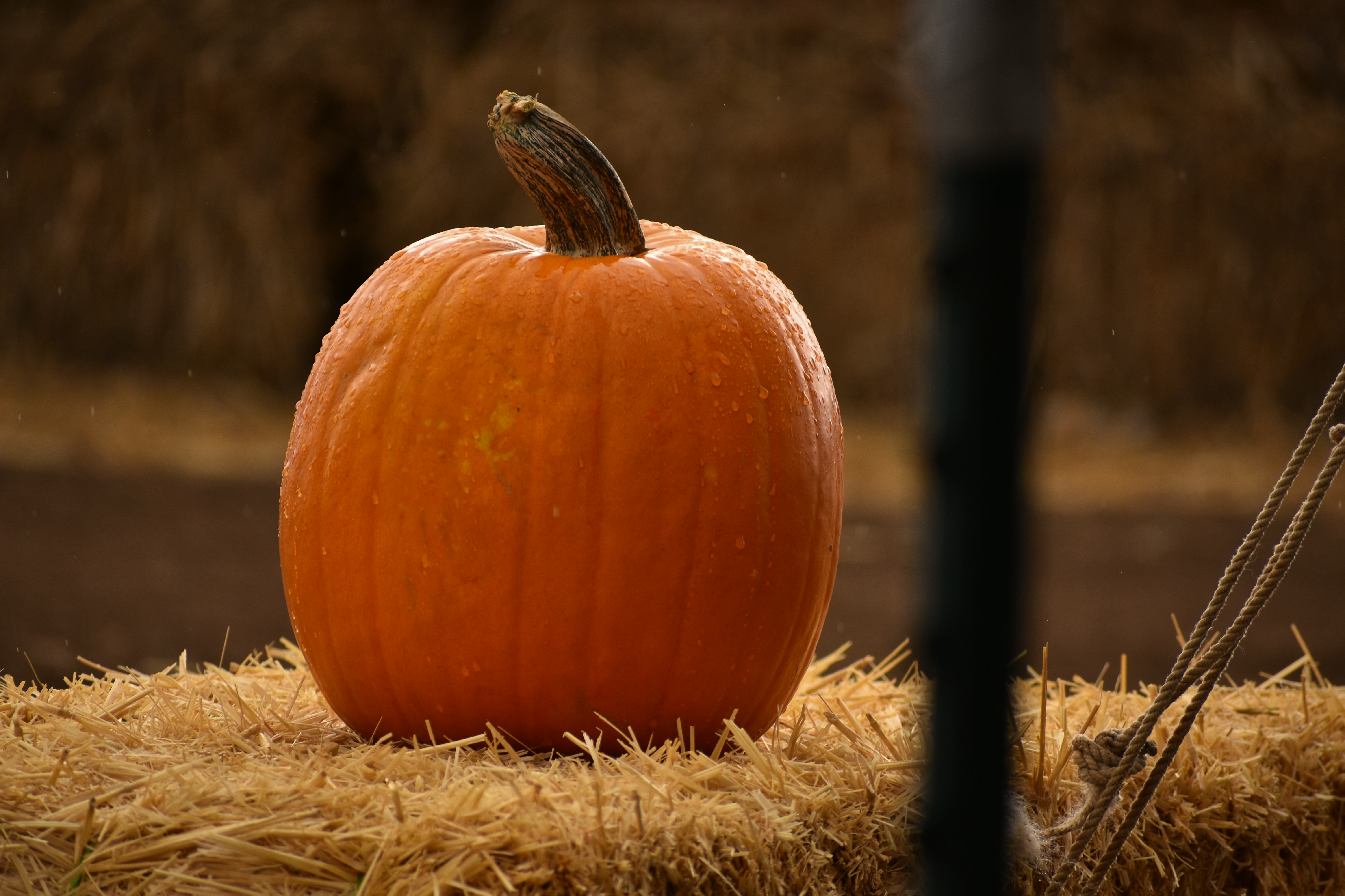 Old Things, New Cleaning Products, and Cozy Work Spaces