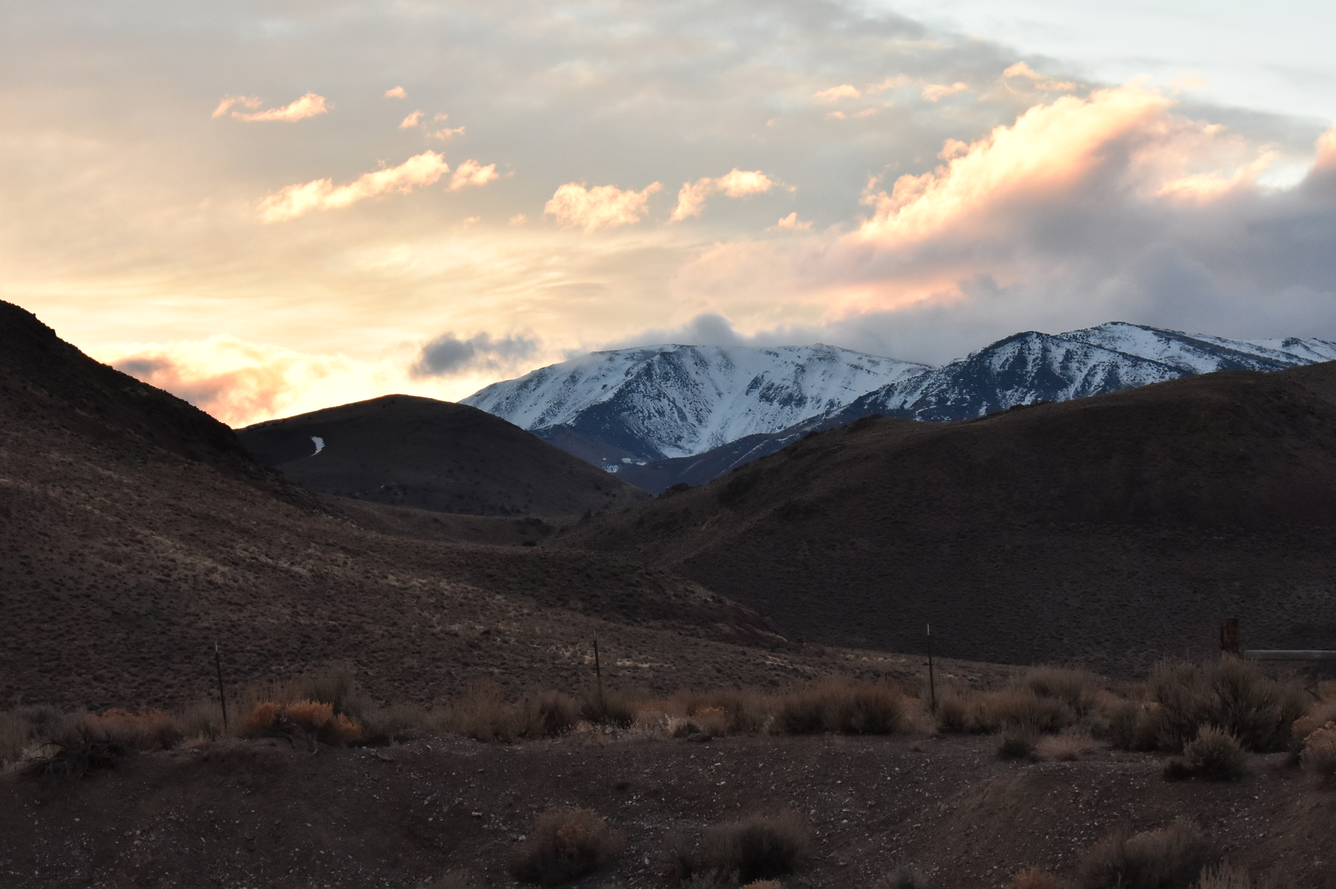 LIGHT from the Start