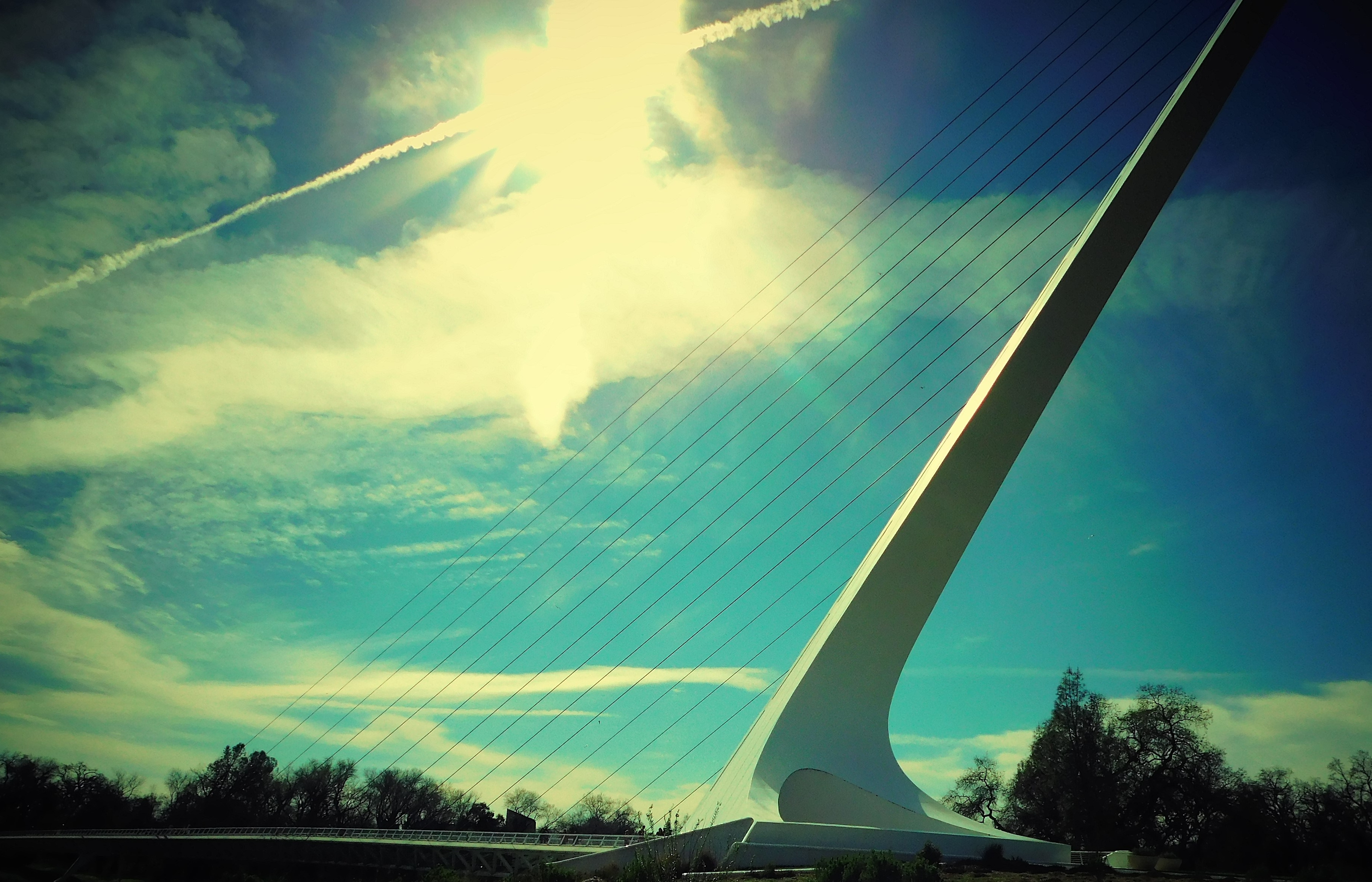 Who’s In Charge Here?