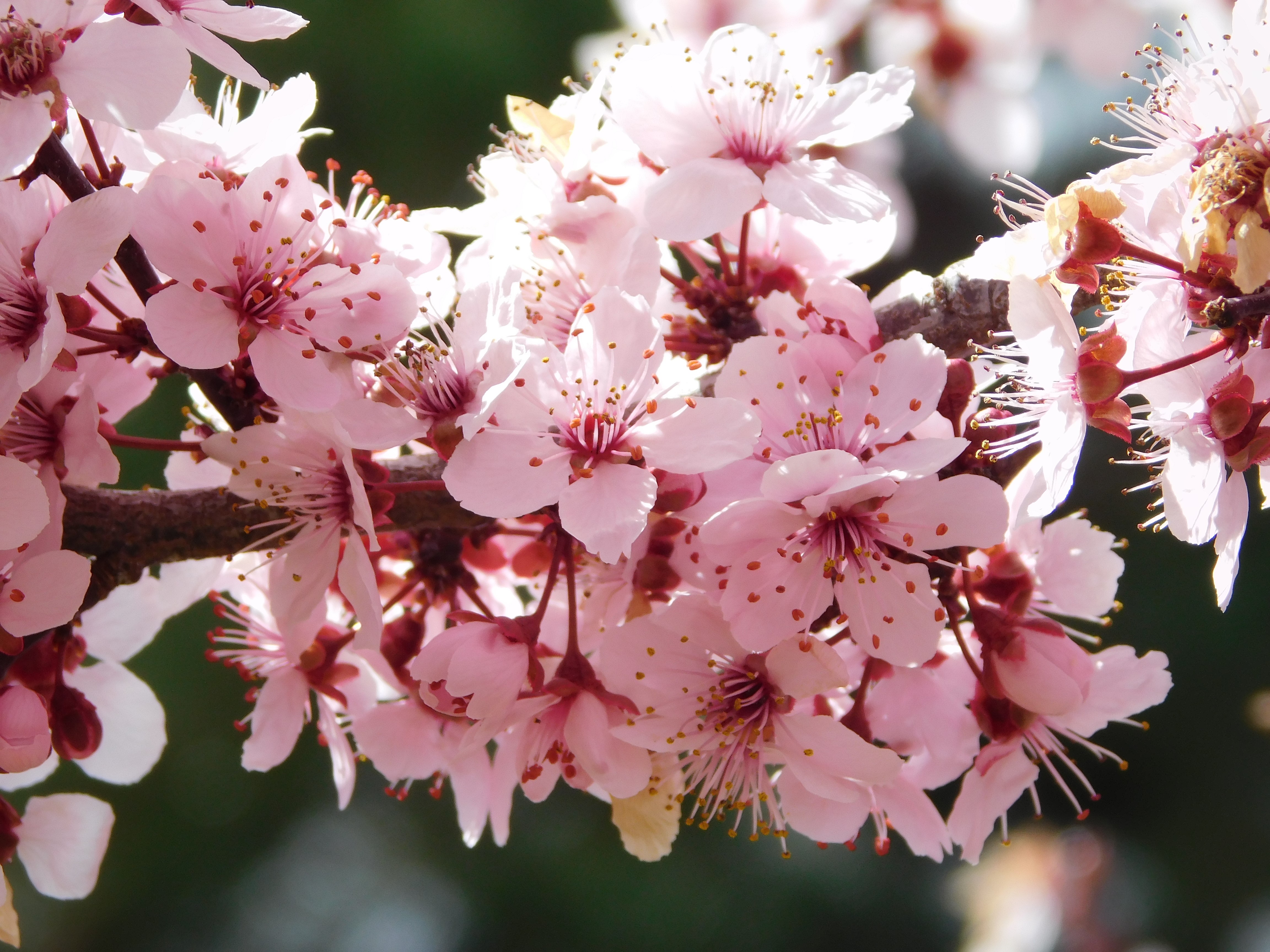 One Ordinary Easter – A Story (Part One)