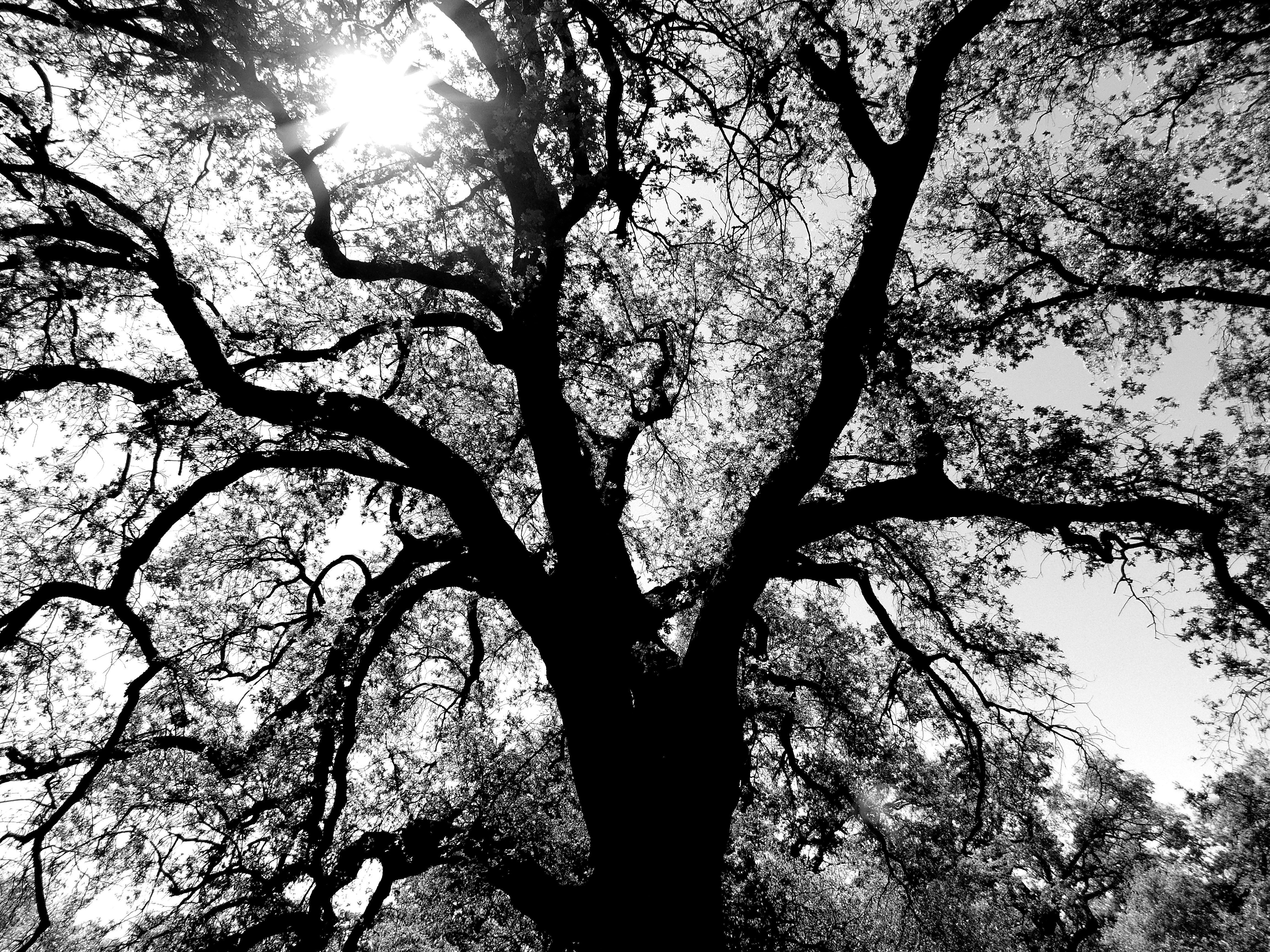 Your Way, Your Truth