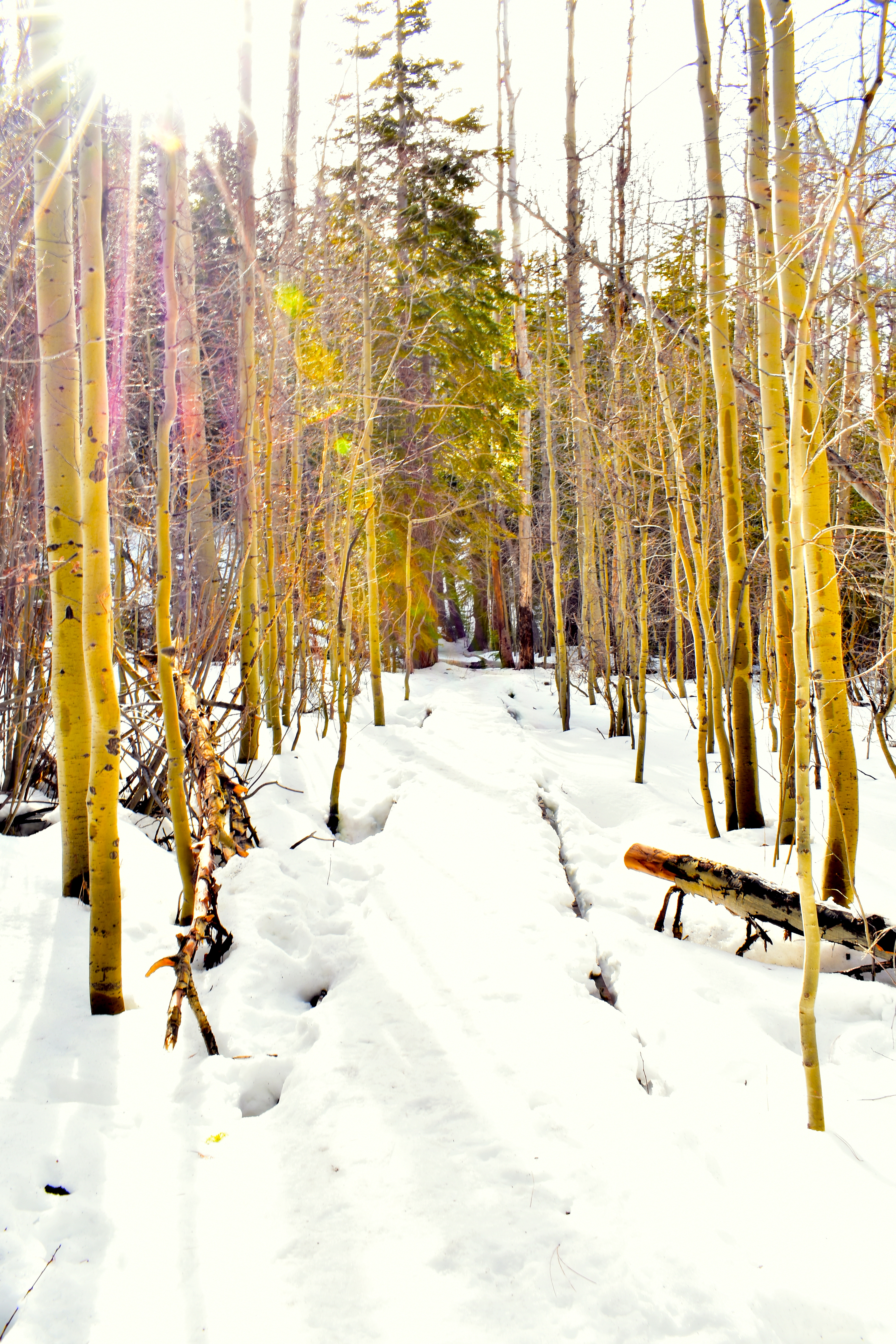 A Stunning Afterthought