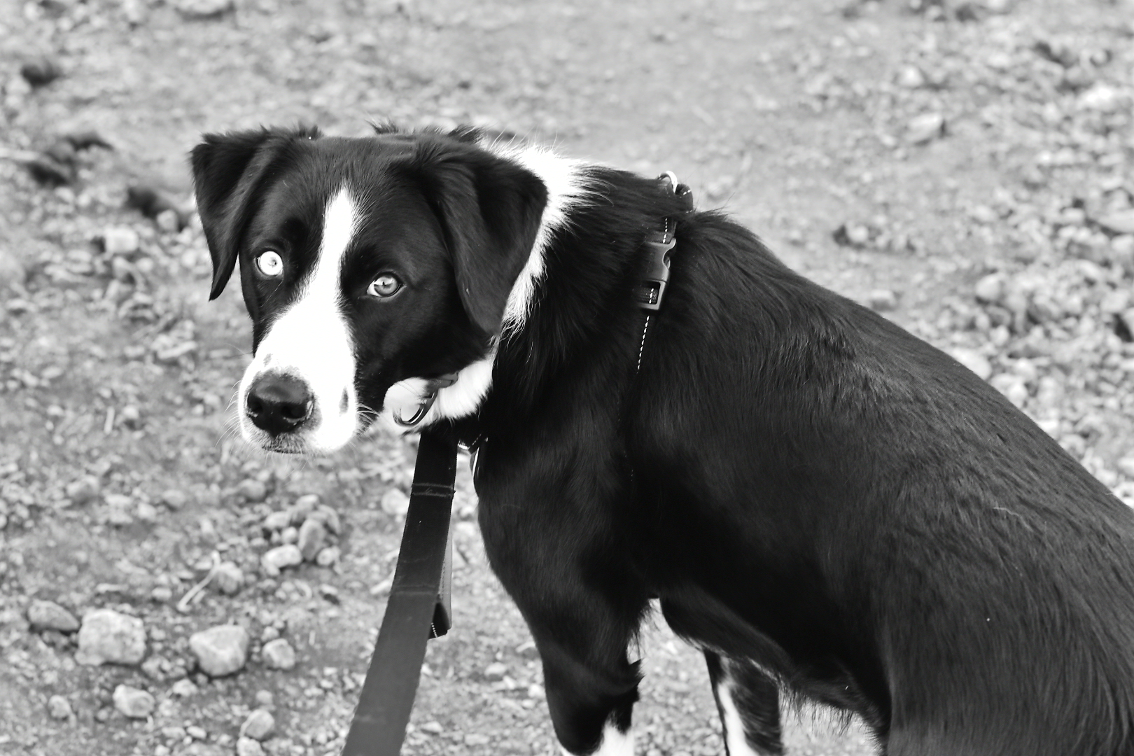 A Little Walk, A Lot Of Beauty