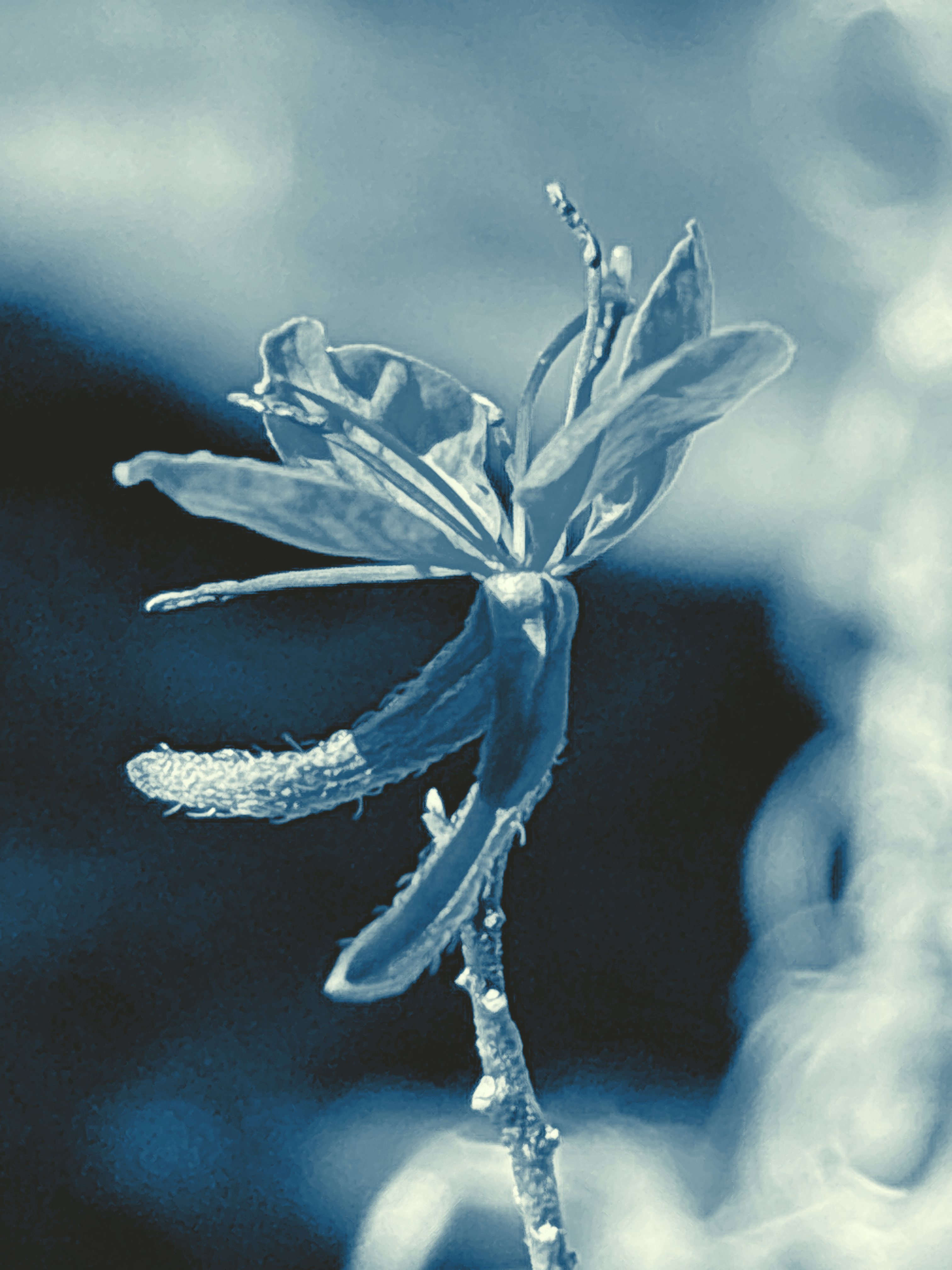 This Life Until Then