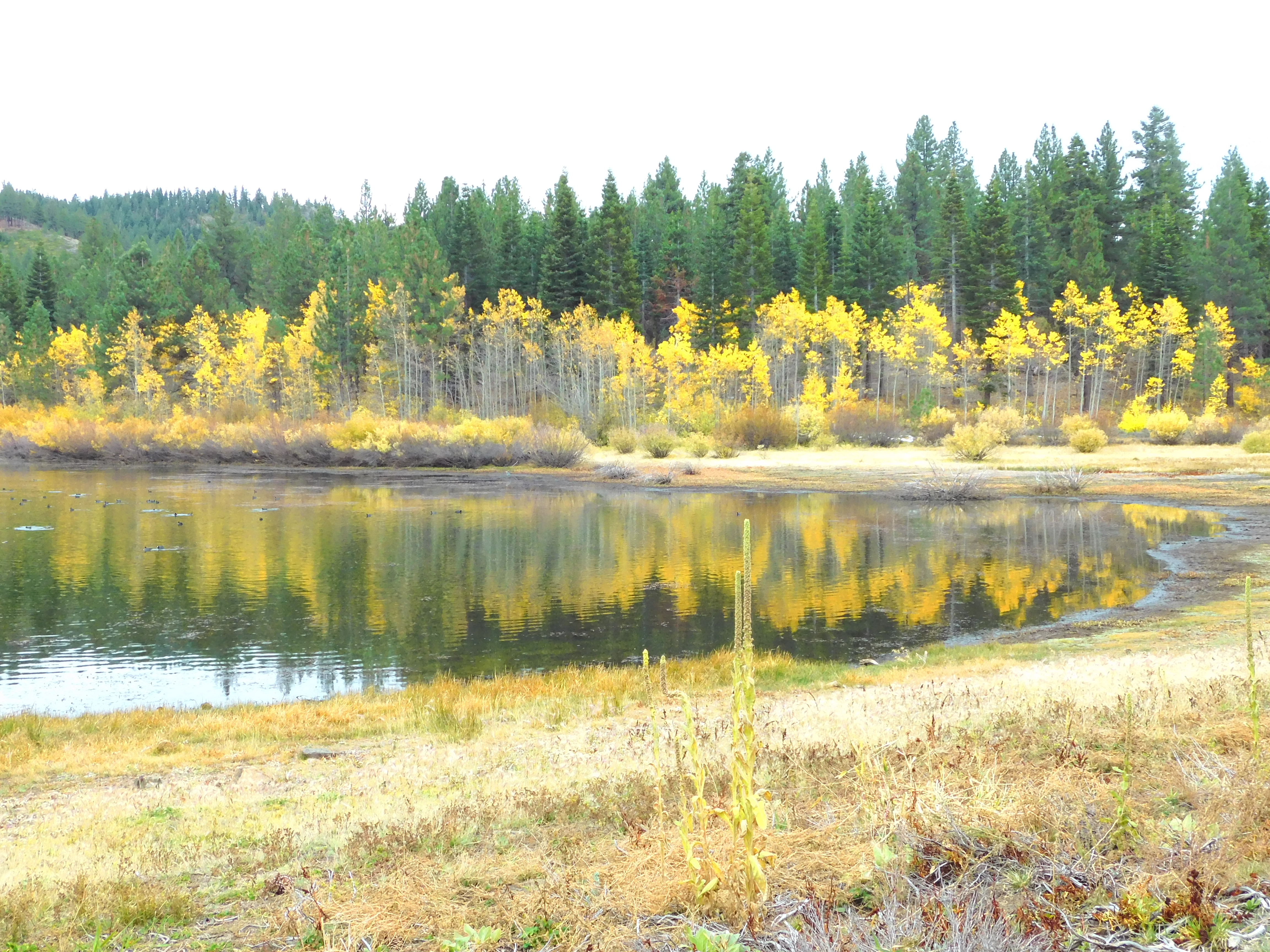 Autumn’s Reflection