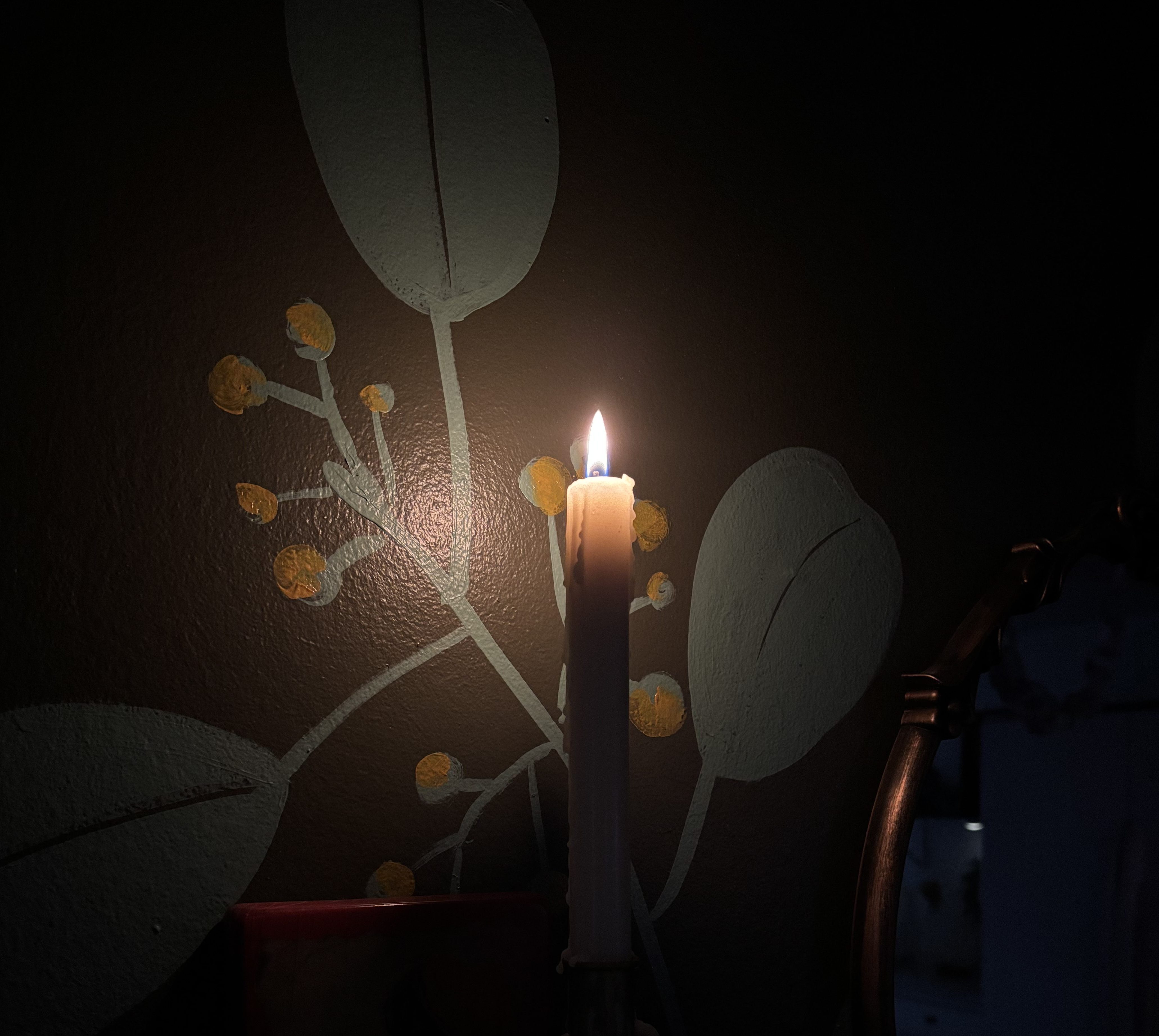 The Light This Christmas